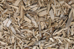 biomass boilers Trull